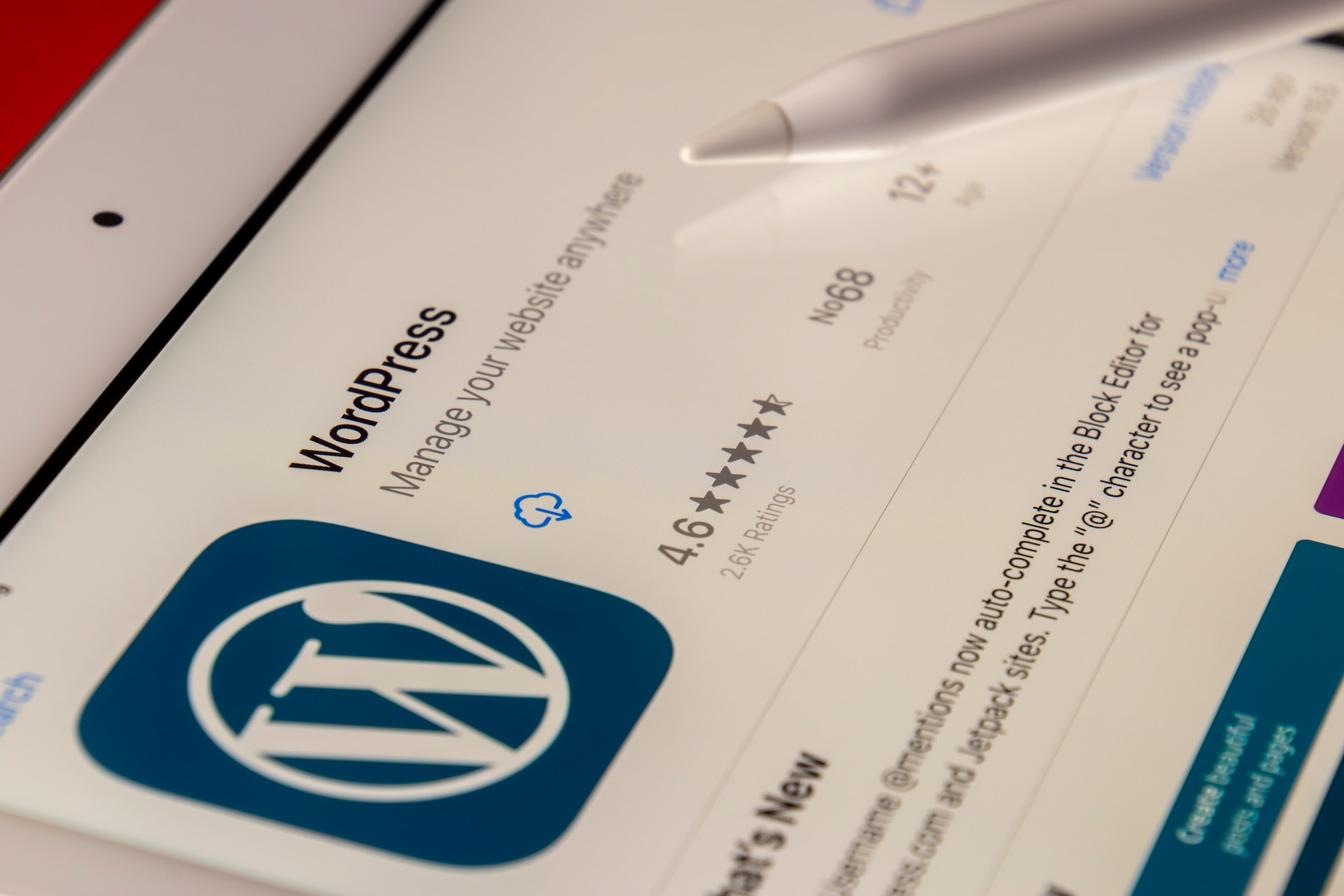 Featured image for “Mastering WordPress Accessibility: Tips and Strategies for Crafting Inclusive Websites”