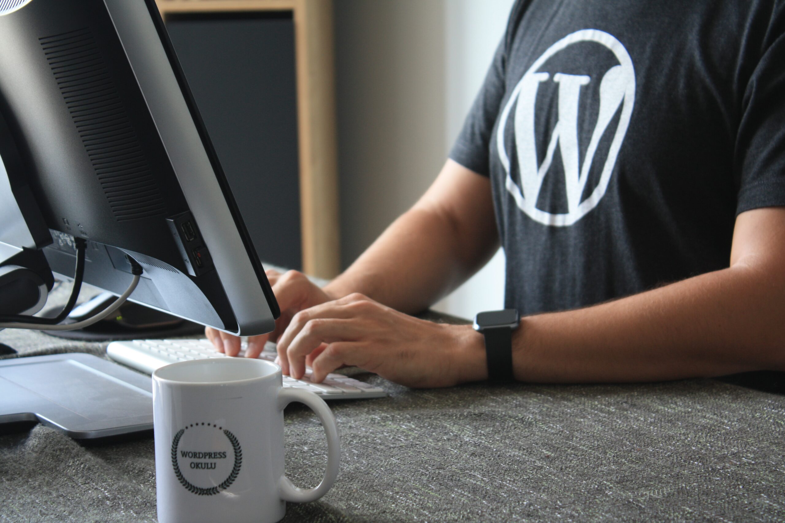 Featured image for “Enhance On-Site Search Experience with WordPress”